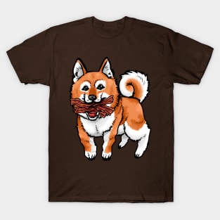 Doge T-Shirt